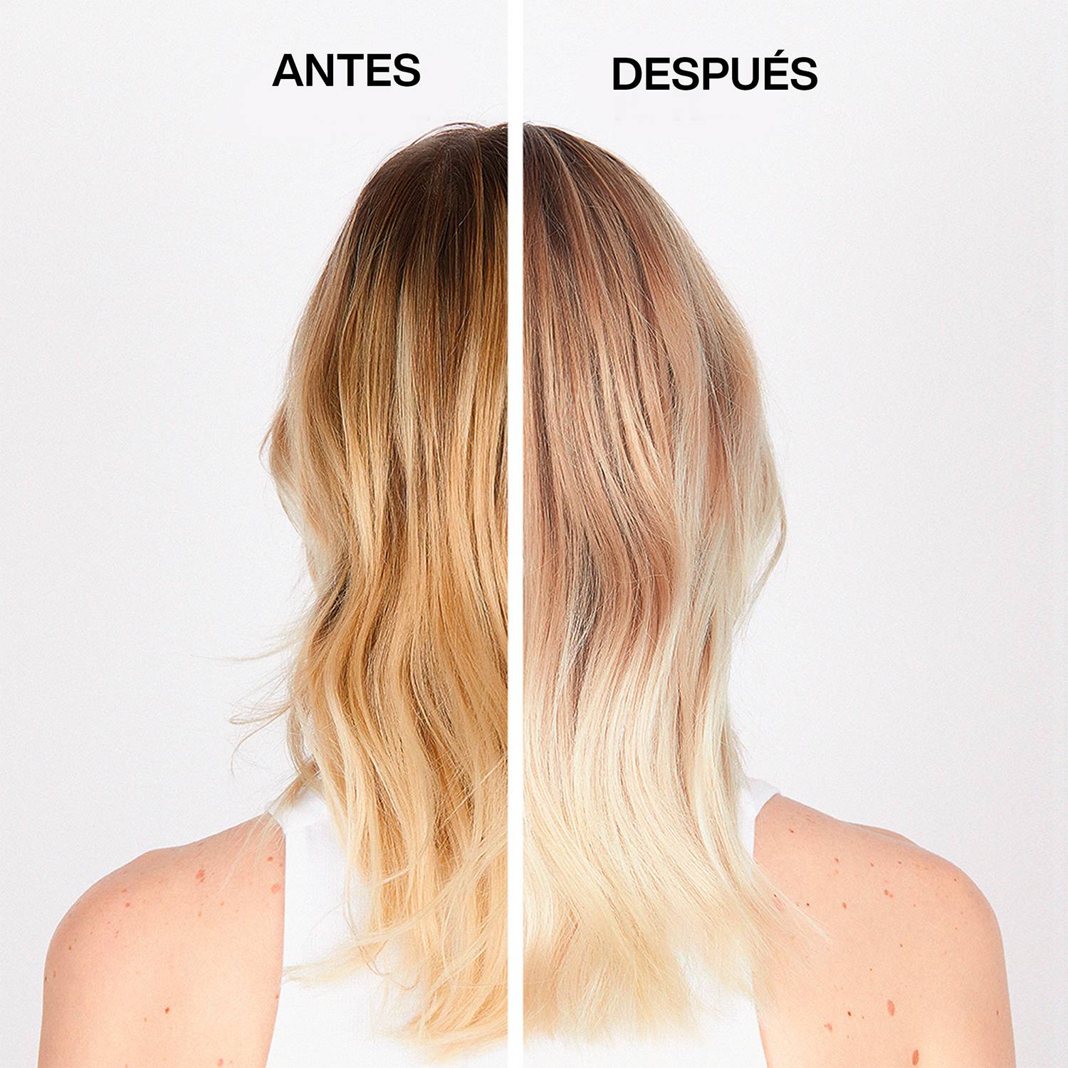 BLOND ABSOLU Acondicionador Cicaflash 250 Ml - Image 7