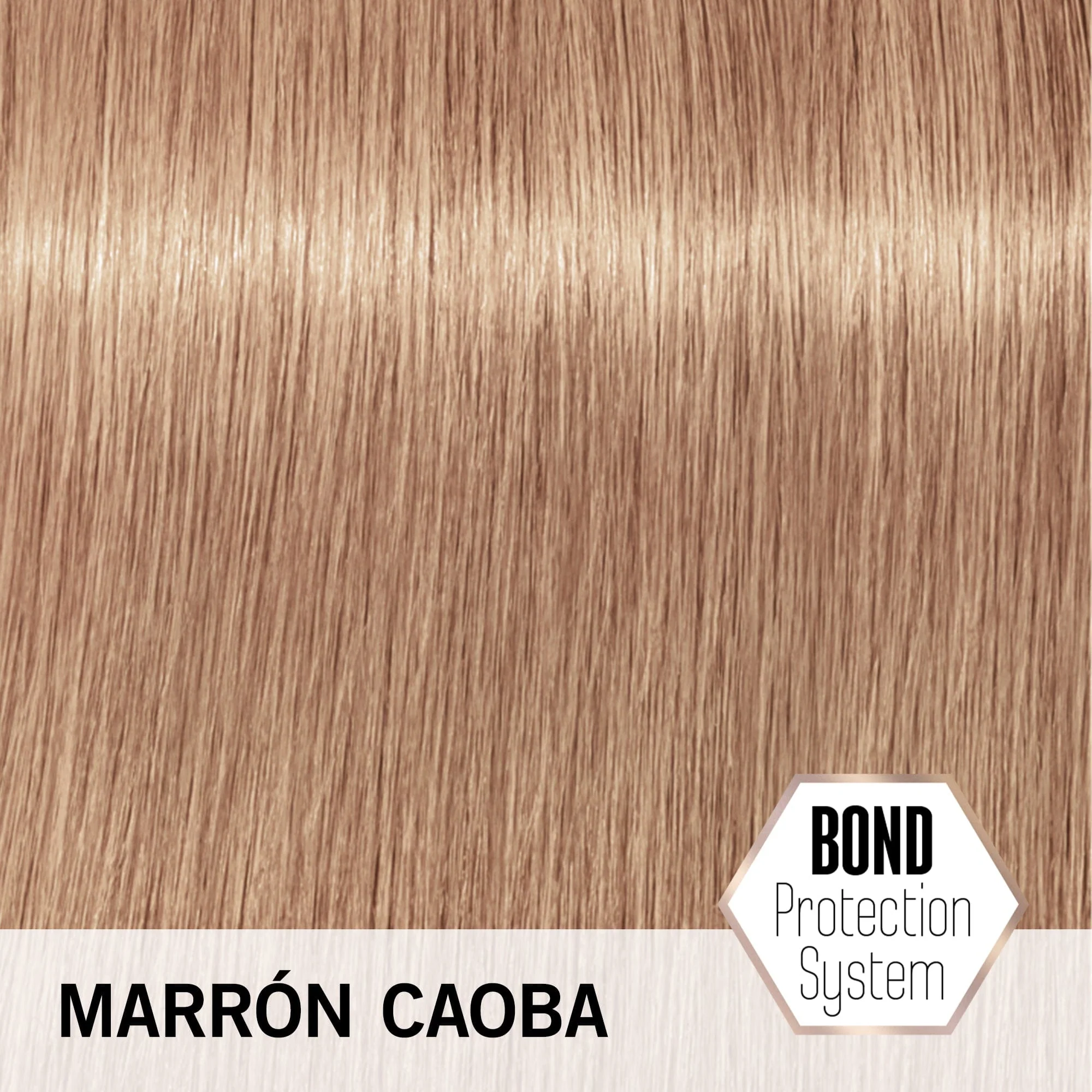 BLONDME Matización Pastel Tono Marrón Caoba 60ml - Image 3
