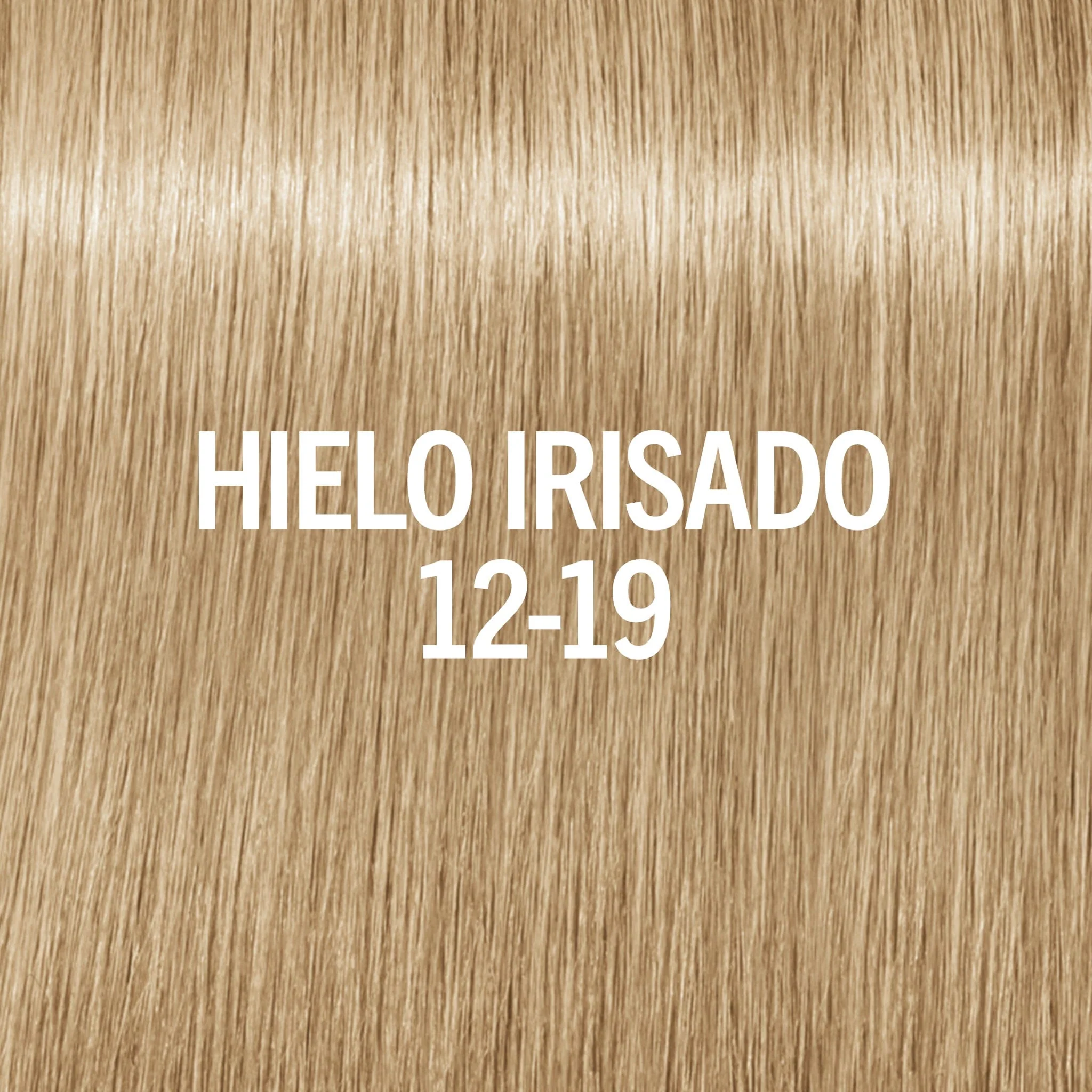 BLONDME Matizador de Brillo, tono Hielo Irisado 9-19 60ml - Image 2