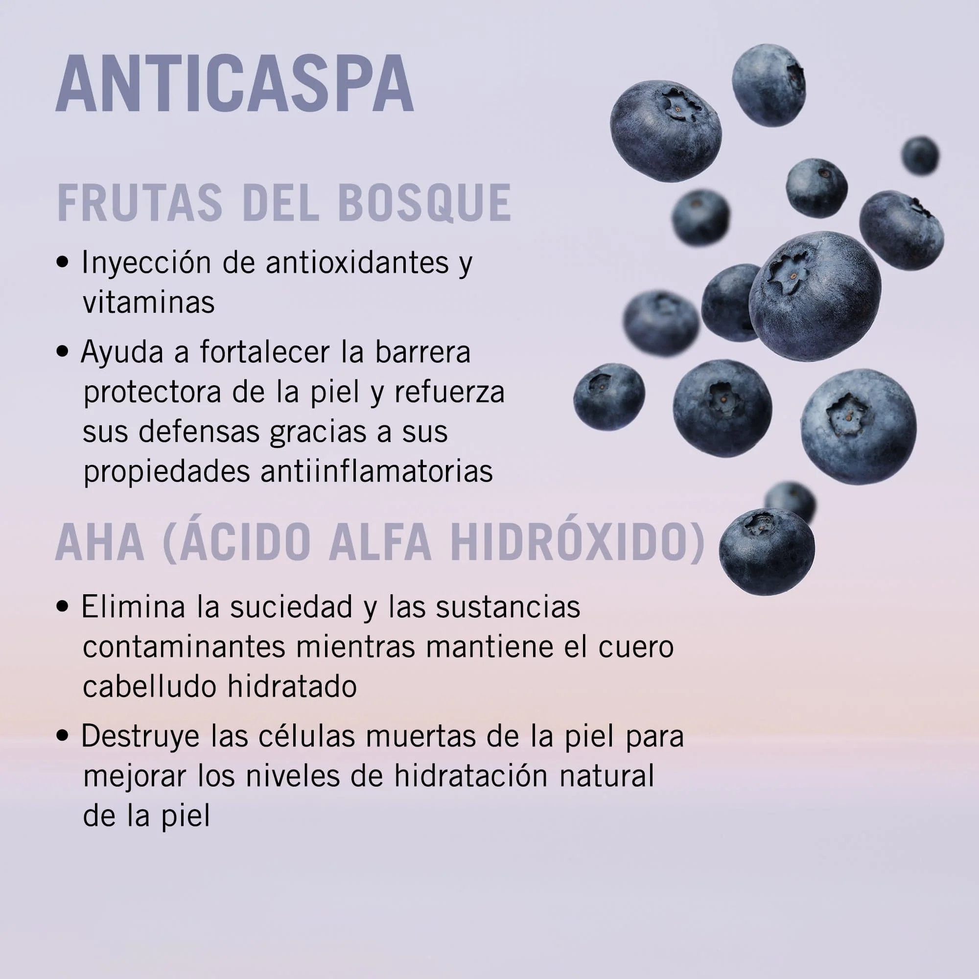 Bonacure Scalp Genesis Champú Anticaspa 250ml - Image 3