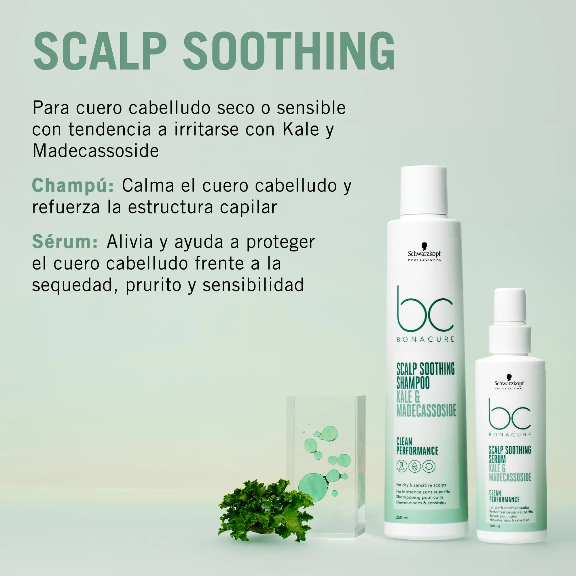 Bonacure Scalp Genesis Champú Calmante 250ml - Image 4