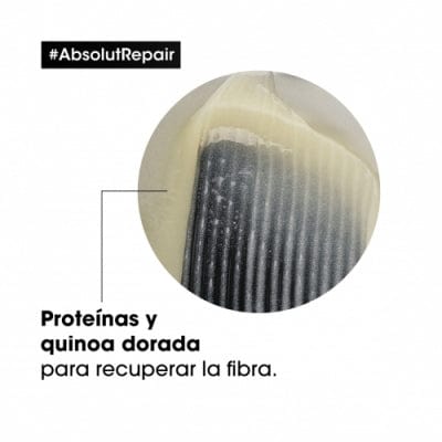 Champú Absolut Repair Gold 1500ml - Image 4