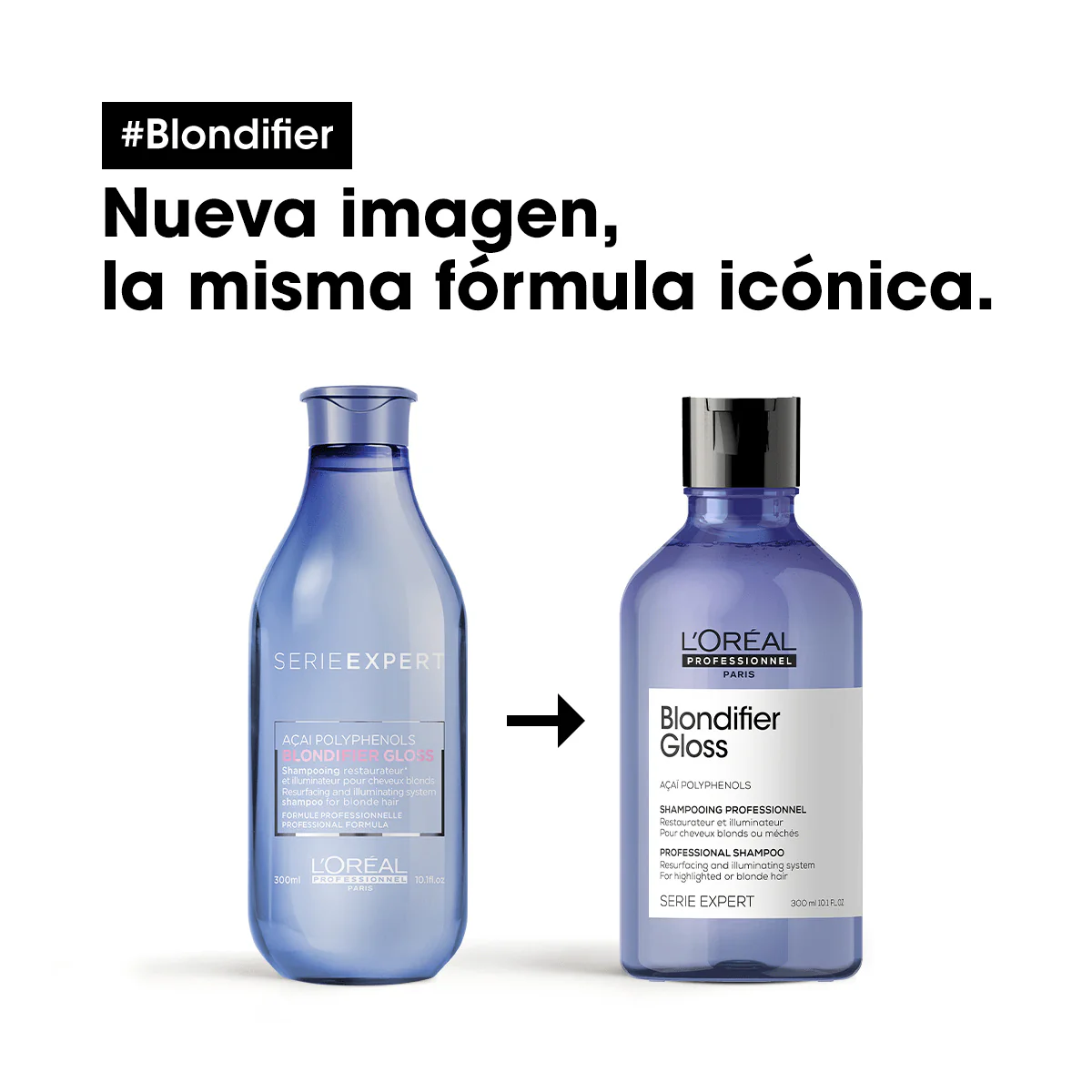 Champú Blondifier Gloss 300ML - Image 12