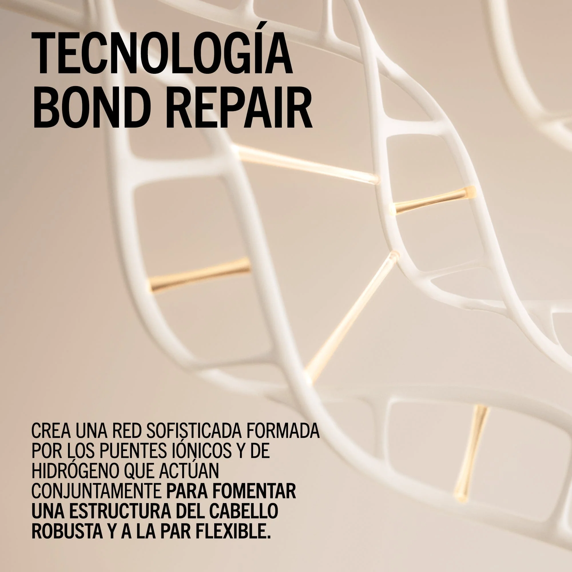 Champú Iluminador Bond Repair de BLONDME 300ml - Image 3