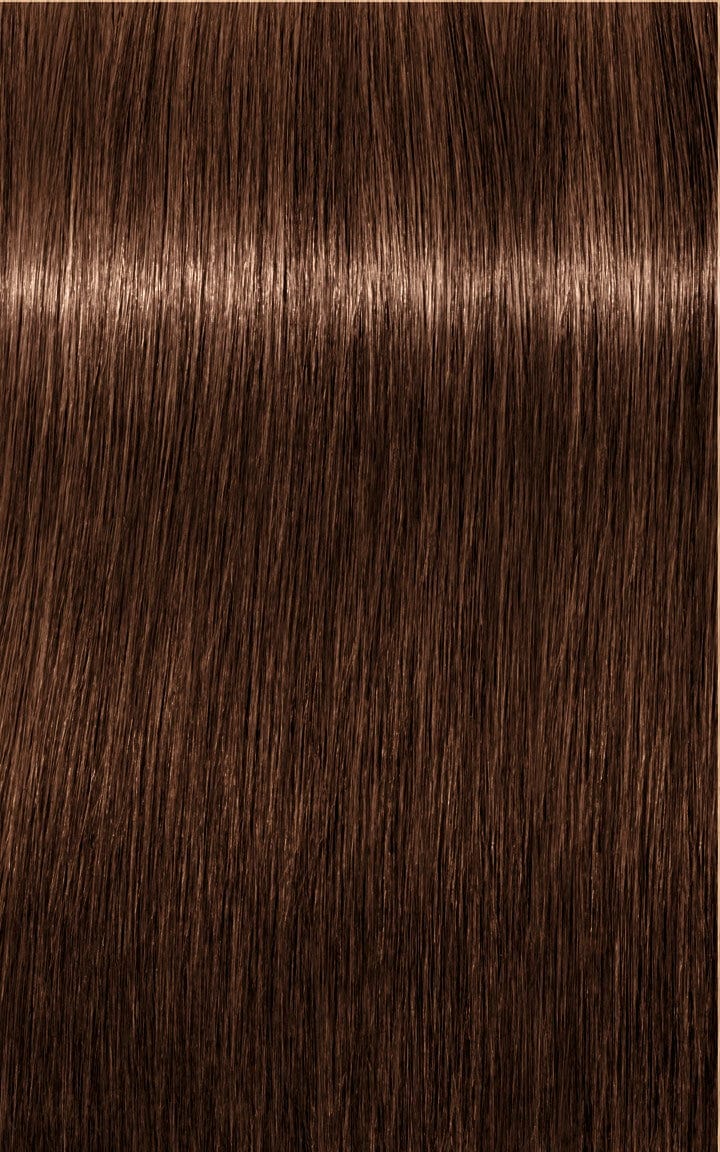 IGORA ROYAL 6-6 Rubio Oscuro Chocolate 60ml - Image 2