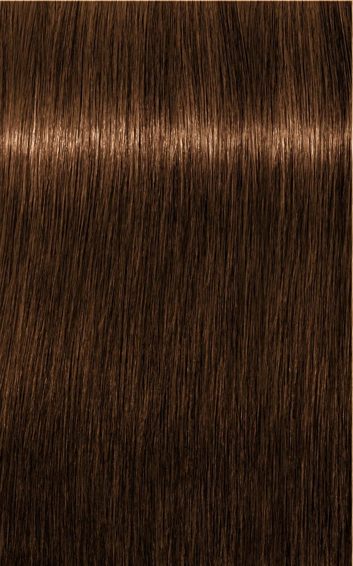 IGORA ROYAL Absolutes 8-60 Rubio Claro Chocolate Natural 60ml - Image 2