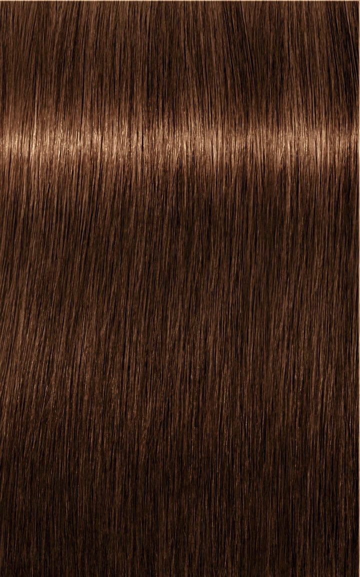 IGORA ROYAL Absolutes Age Blend 6-460 Rubio Oscuro Beige Chocolate Natural 60ml - Image 2