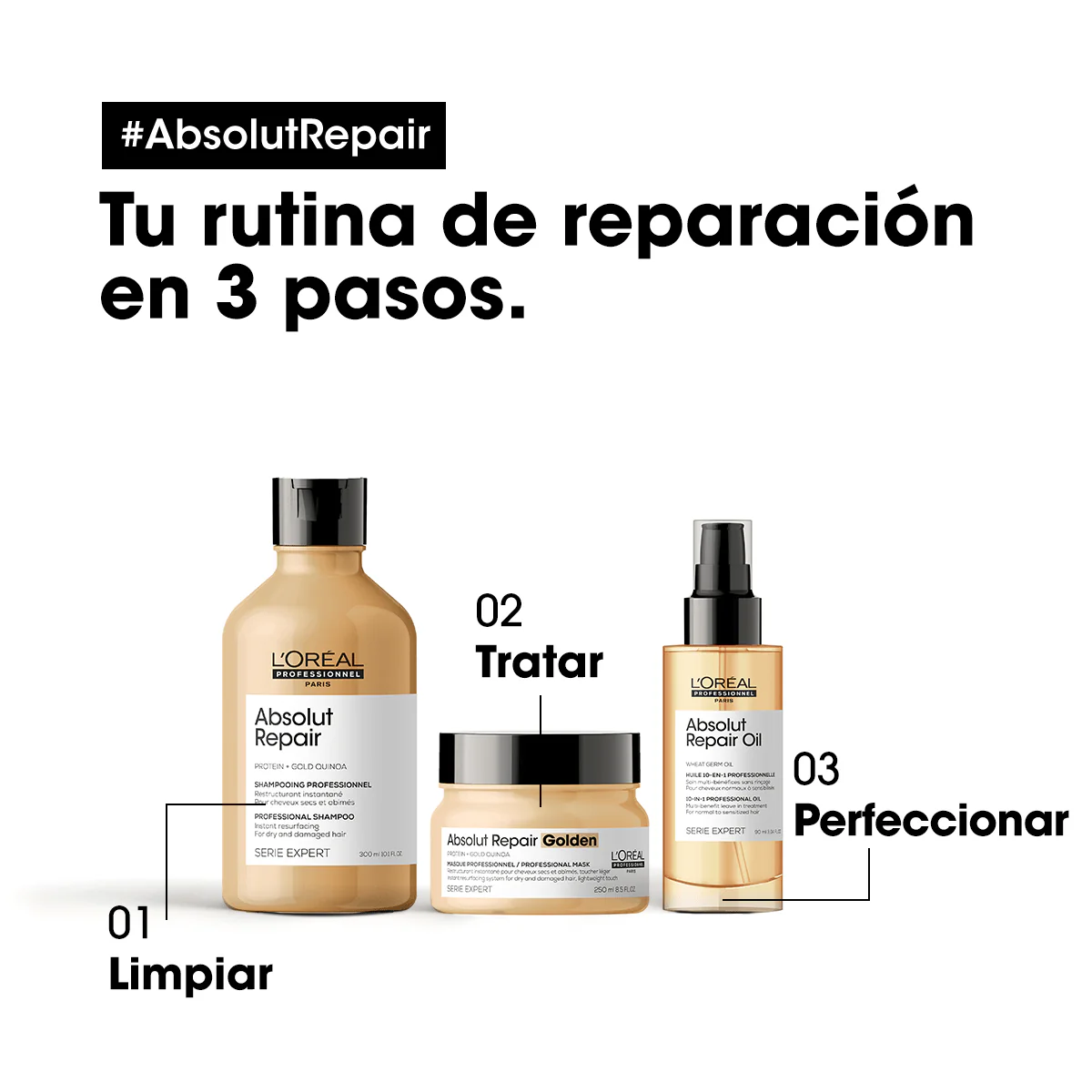 Mascarilla Dorada Absolut Repair 250ml - Image 7