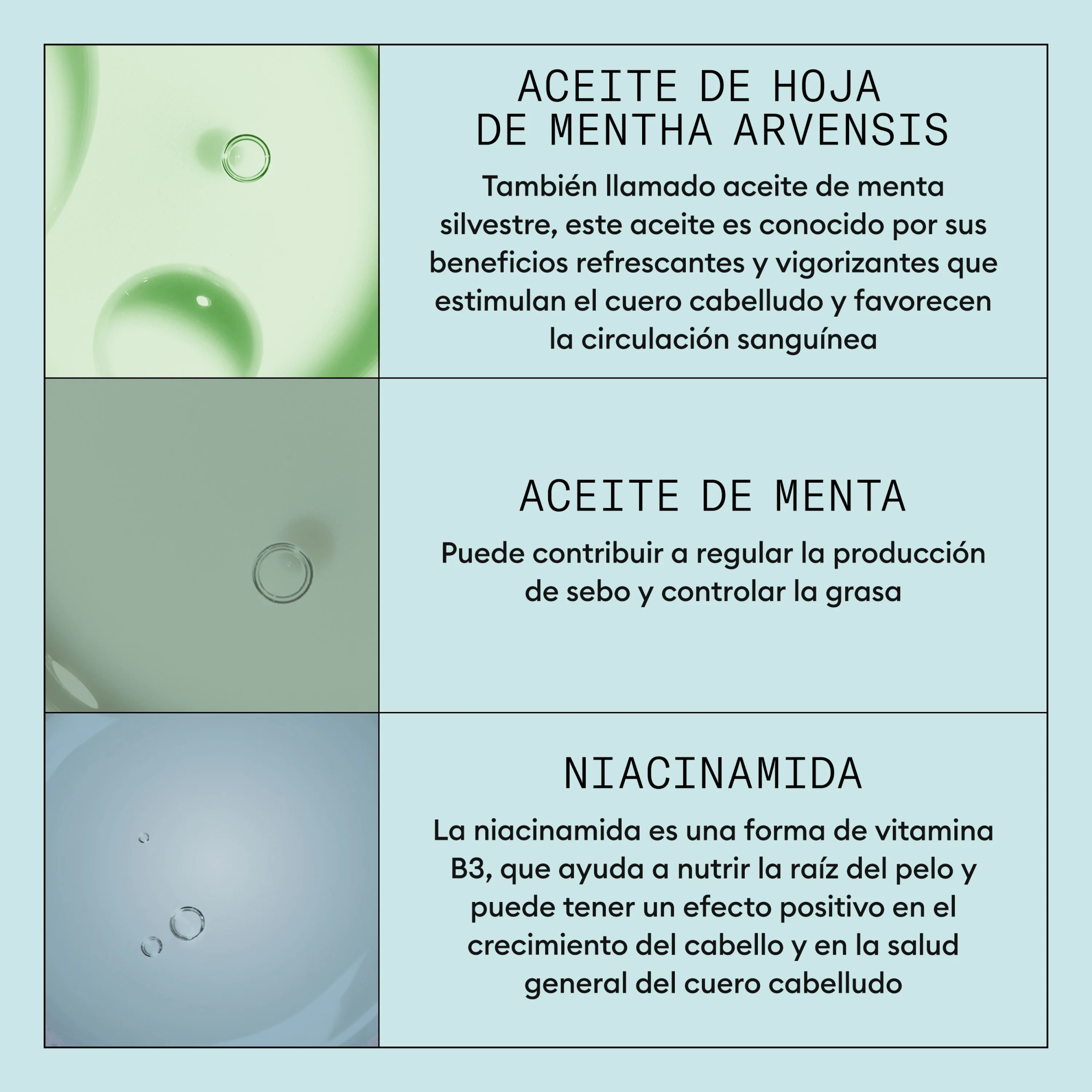 SYSTEM Kit SCALP RECOVERY Champú 200ml + Acondicionador 200ml + Tratamiento 100ml - Image 2